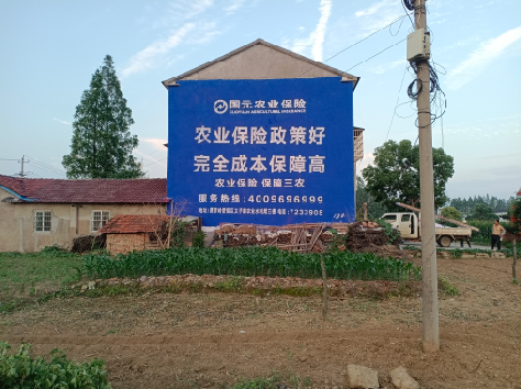 兴安墙体广告的优劣势你知道吗？