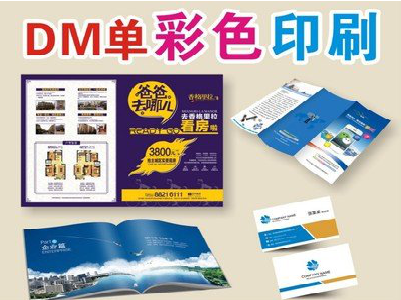 兴安单页印刷，色彩搭配简单。